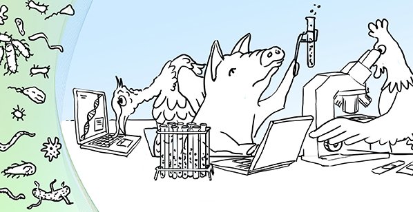 HG Laboratory