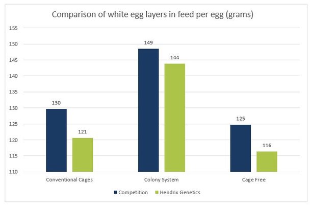 4b graph white feed per egg.jpg