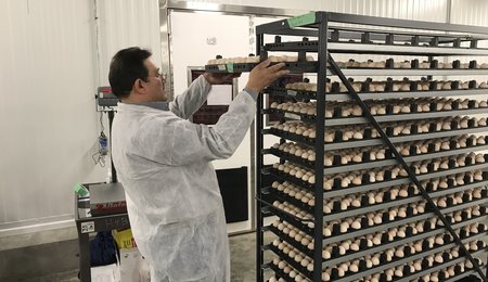 commissioning hatchery 1