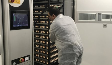commissioning hatchery 2