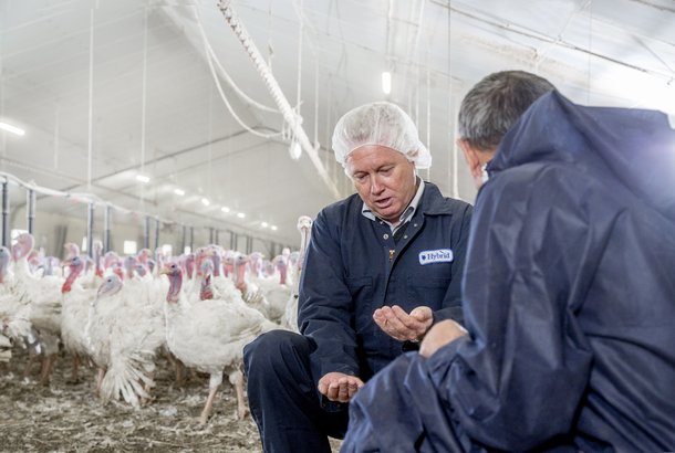 CS Turkey Farm 4012.jpg