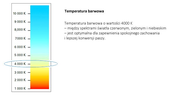 LED colour temperature PL