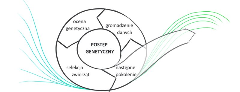 Genetic engine.jpg