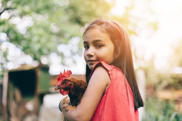 HGL France - Young girl brown hen