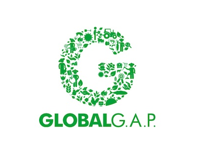 GlobalG.png