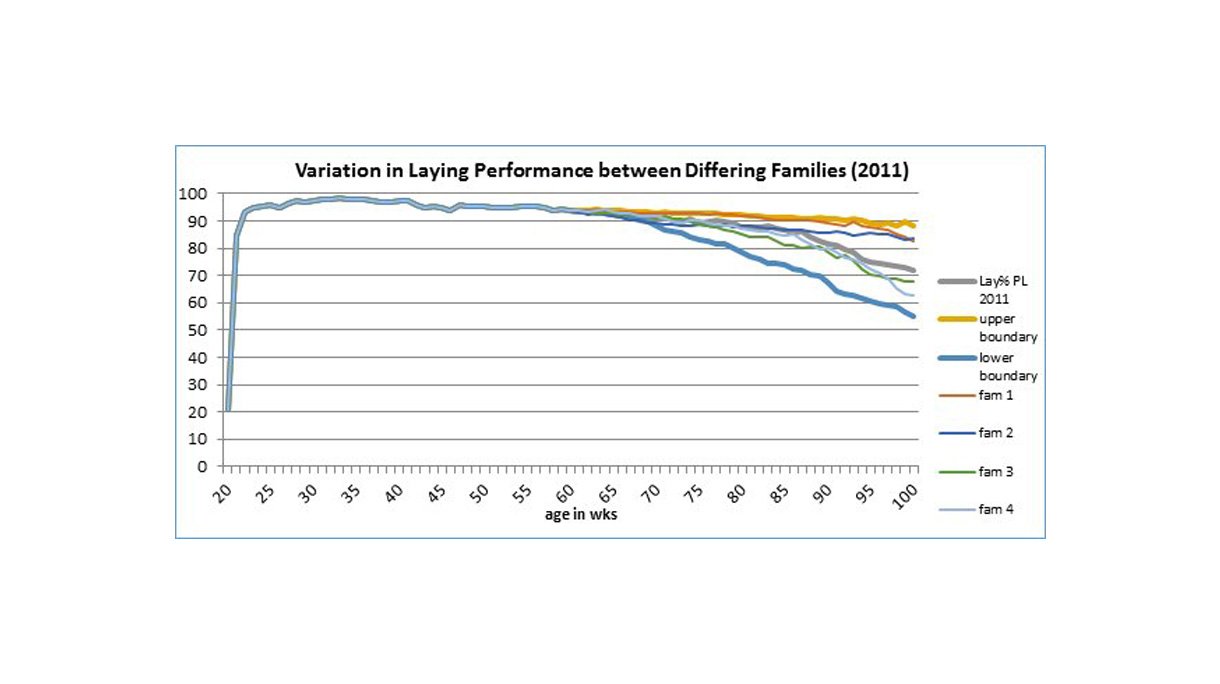 Graph3