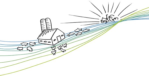 Hendrix Genetics_illustrations _1C.jpg