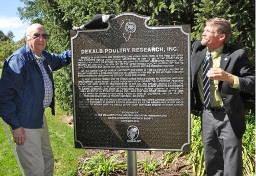 History dekalb poultry marker layers
