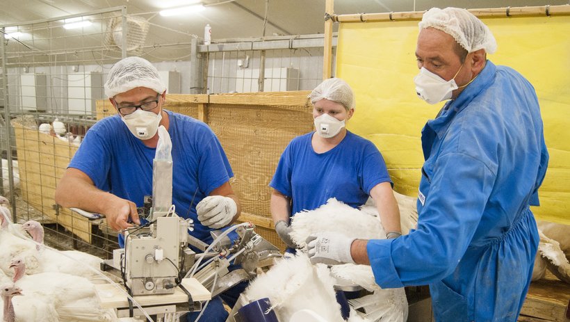Insemination Facilitator.jpg