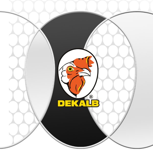 Joice-and-Hill-Dekalb-Product-Graphic.jpg