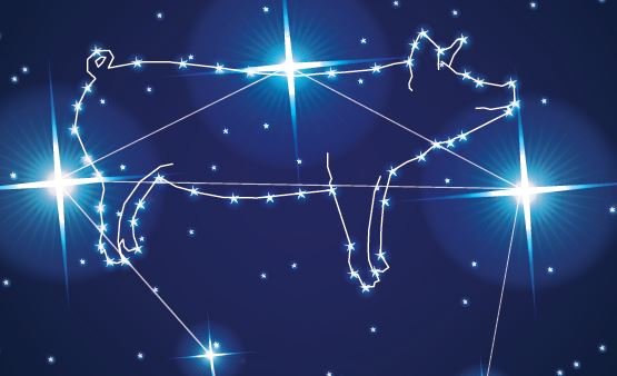 Hypor Libra Star constellation