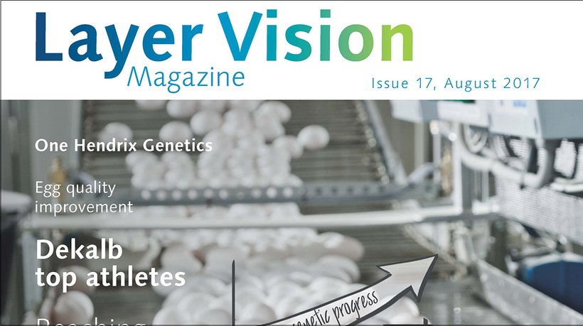 layervision