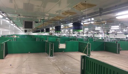 Camrose colony - Loose Pens