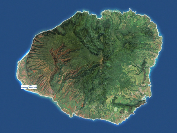 Kona bay location
