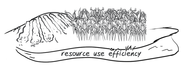 Hypor drawing resource efficiency