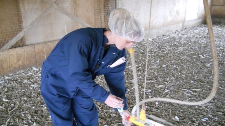 waterline testing