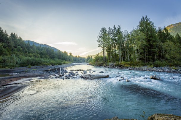 Troutlodge 002 0837.jpg