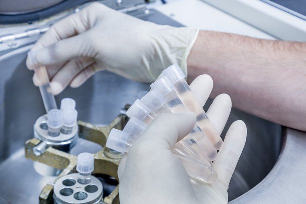 Troutlodge_genomic selection.jpg