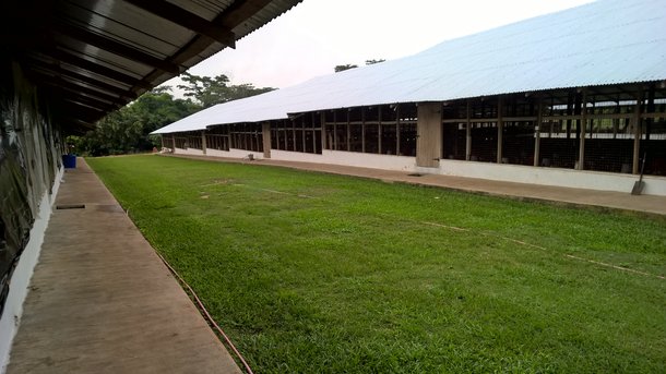 Isa export Ghana 4