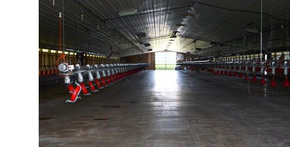 barn_cleaning.png