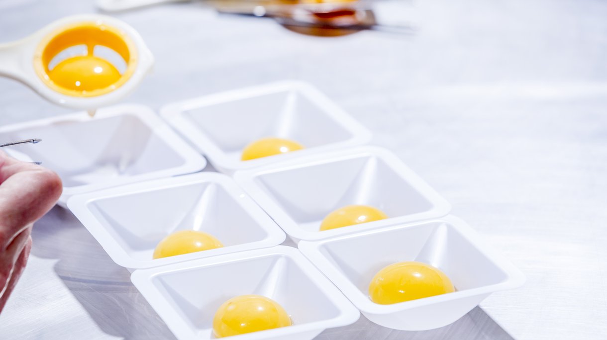 egg qualitya.jpg