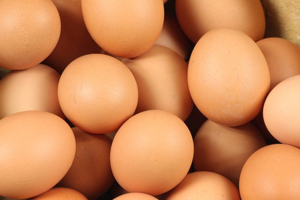 layers brown eggs