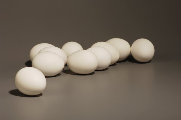 eggs white layers
