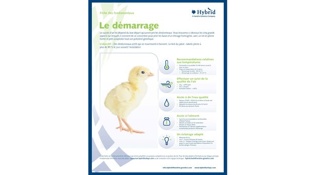 ExampleFR