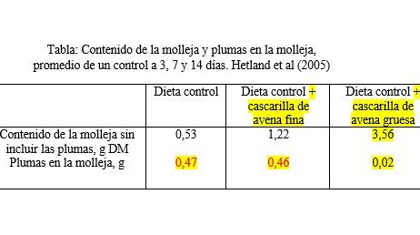 table gizzard SP 3