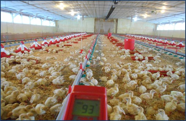 Desirable temp over feed and water