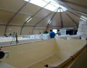 hatchery larval