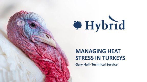 heat stress webinar