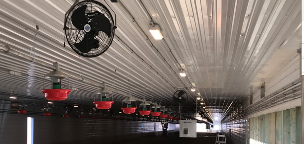 Pembrook interior turkey farm
