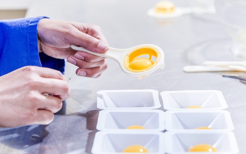 internal egg quality testing