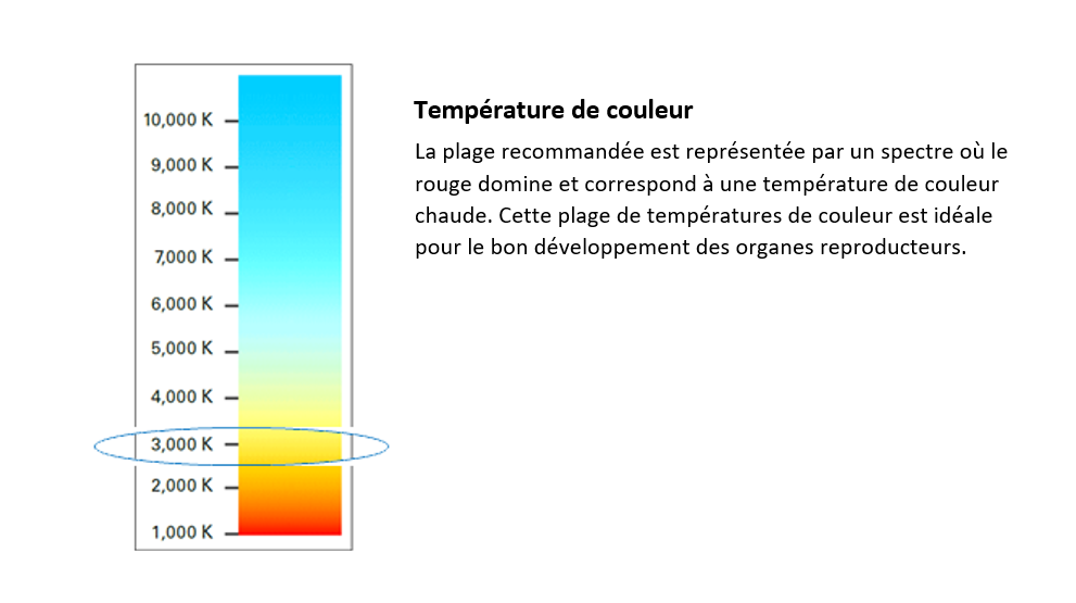 Led lights french