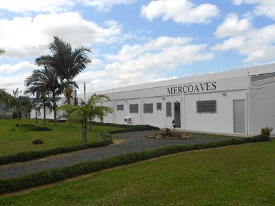 Mercoaves office brazil