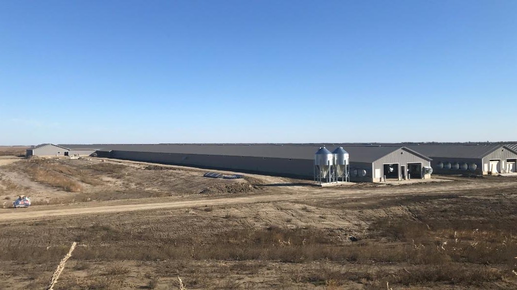 New farms turkeys