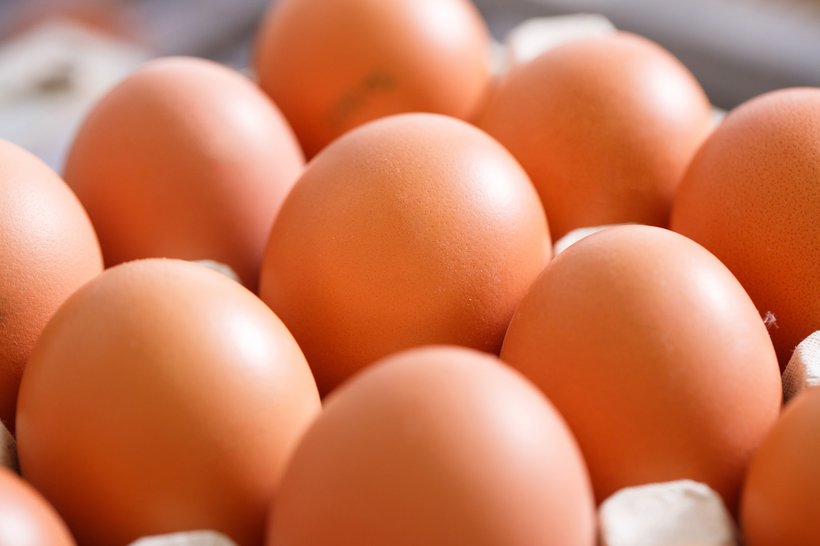 oeufs.jpg