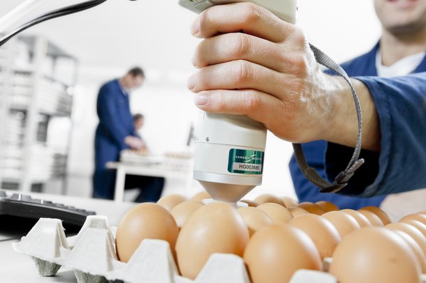 egg quality.jpg