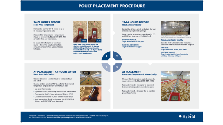 poult placement poster