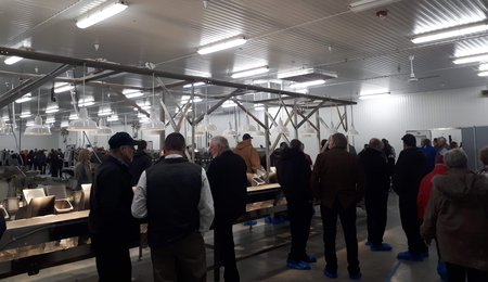 service room viewing beresford